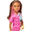 Barbie Skipper Doll And Dog Walker Set With Puppy And Accessories First Jobs
